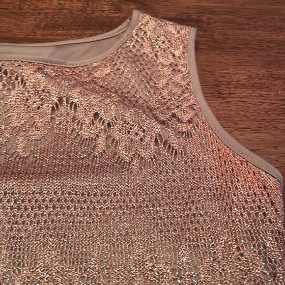 Dressbarn lace overlay dress - Picture 12 of 13